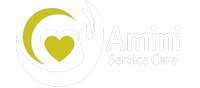 Amini service care White